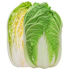 ؎ ybg5000  nNTC ͂yJlRc   ^l zyʏ5{ 5̂̓|Cg10{z