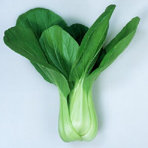 ČO 2dl [ `Q `QTC 񂰂񂳂yJlRc   ^l zyʏ5{ 5̂̓|Cg10{z