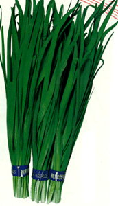 jRjRԎq 2dl B j ɂyJlRc   ^l zyʏ5{ 5̂̓|Cg10{z