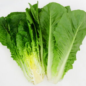 Ag PVP ybg1000 ^XyJlRc   ^l zyʏ5{ 5̂̓|Cg10{z