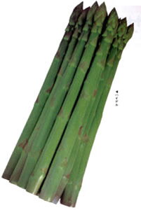 nCf 2dl AXpKXyJlRc   ^l zyʏ5{ 5̂̓|Cg10{z