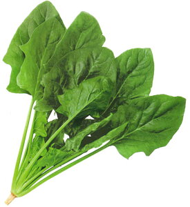 XiCp[ L30000 ق @@ zE\E ق񂻂yJlRc   ^l zyʏ5{ 5̂̓|Cg10{z