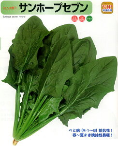 Tz[vZu M30000 ق @@ zE\E ق񂻂yJlRc   ^l zyʏ5{ 5̂̓|Cg10{z