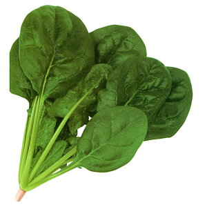 `FCT[ M30000 ق @@ zE\E ق񂻂yJlRc   ^l zyʏ5{ 5̂̓|Cg10{z