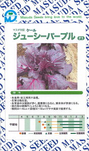 W[V[p[v(f1) 2000 P[ [yc̎   ^lzyʏ5{ 5̂̓|Cg10{z