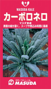 J[{l(Lxc) 2000 Lxcyc̎   ^lzyʏ5{ 5̂̓|Cg10{z