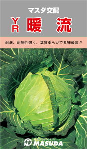 YRg× R[g(5000) Lxc ×  Jyc̎   ^lzyʏ5{ 5̂̓|Cg10{z