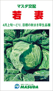 Ȋ× R[g(5000) Lxc ×  Jyc̎   ^lzyʏ5{ 5̂̓|Cg10{z