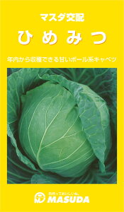 Ђ߂݂× R[g(5000) Lxc ×  Jyc̎   ^lzyʏ5{ 5̂̓|Cg10{z