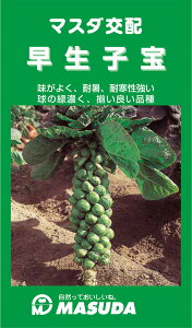 q 1500 Lxcyc̎   ^lzyʏ5{ 5̂̓|Cg10{z