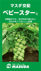 �x�r�[�X�^�[ 1500�� �L���x�c�y���c�̎�� �� ���� �^�l�z�y�ʏ�5�{ 5�̂����̓|�C���g10�{�z