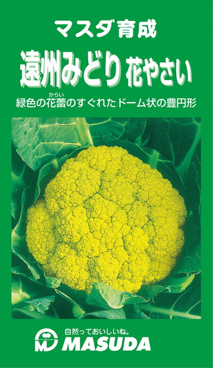 楽天市場 遠州みどり花やさい 10ml カリフラワー 増田採種場 種 たね タネ 通常5倍 5のつく日はポイント10倍 全国種苗出荷センター