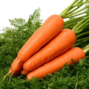 [ 5 jW ɂ񂶂 lQyB݂   ^lzyʏ5{ 5̂̓|Cg10{z