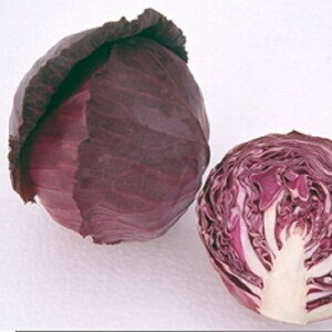 bh}[Pbg 20ml  LxcyB݂   ^lzyʏ5{ 5̂̓|Cg10{z