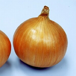ۏG 2dl  ʂ˂ ܂˂ ʔK ^}lMyB݂   ^lzyʏ5{ 5̂̓|Cg10{z