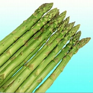 O[^[ 1dl  AXpKXyB݂   ^lzyʏ5{ 5̂̓|Cg10{z