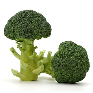  2000 ubR[yB݂   ^lzyʏ5{ 5̂̓|Cg10{z