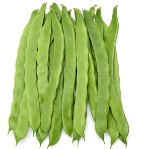 j[rbNW{ؓ 2000 B TCQ ₢񂰂yB݂   ^lzyʏ5{ 5̂̓|Cg10{z