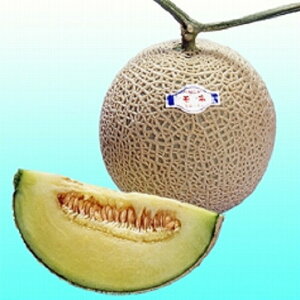 lČn 100 ߂  rZyB݂   ^lzyʏ5{ 5̂̓|Cg10{z