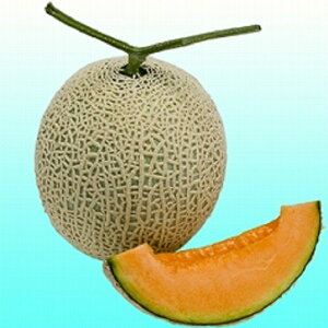 lbhtӏHn907 100 ߂  rZyB݂   ^lzyʏ5{ 5̂̓|Cg10{z