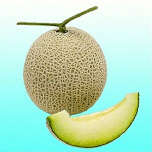 ltn 100 ߂  rZyB݂   ^lzyʏ5{ 5̂̓|Cg10{z