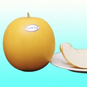 GUxX239 100 ߂  rZyB݂   ^lzyʏ5{ 5̂̓|Cg10{z