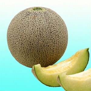 XJCO[ 100 ߂  rZyB݂   ^lzyʏ5{ 5̂̓|Cg10{z