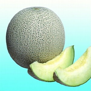 AvI 100 ߂  rZyB݂   ^lzyʏ5{ 5̂̓|Cg10{z