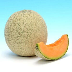 sAbh219 100 ߂  rZyB݂   ^lzyʏ5{ 5̂̓|Cg10{z