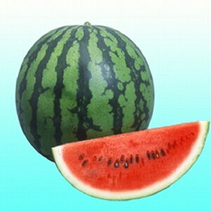 gHE 200 XCJ  ZyB݂   ^lzyʏ5{ 5̂̓|Cg10{z
