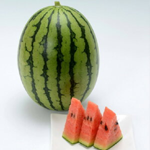 FR}_[{[ 200 XCJ  ZyB݂   ^lzyʏ5{ 5̂̓|Cg10{z