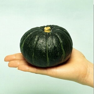 V(i햼:V) 100 Z J{` ڂyB݂   ^lzyʏ5{ 5̂̓|Cg10{z
