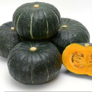 ̏ 100 Z J{` ڂyB݂   ^lzyʏ5{ 5̂̓|Cg10{z