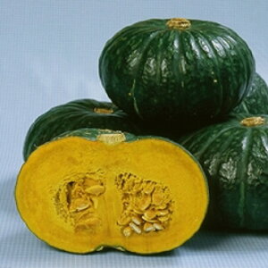 c 500 Z J{` ڂyB݂   ^lzyʏ5{ 5̂̓|Cg10{z