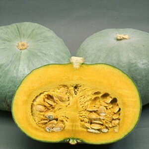 ␢E 100 Z J{` ڂyB݂   ^lzyʏ5{ 5̂̓|Cg10{z