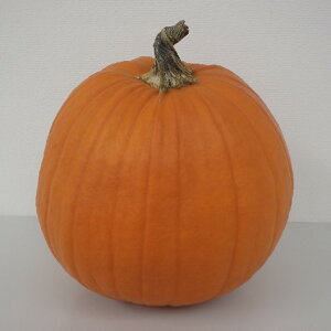 ハロウィン カボチャ 種の人気商品 通販 価格比較 価格 Com