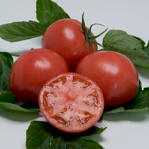 ݂64 1000 g}g Ƃ܂ ׉ցyB݂   ^lzyʏ5{ 5̂̓|Cg10{z