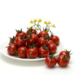 LO 100 g}g Ƃ܂ ׉ցyB݂   ^lzyʏ5{ 5̂̓|Cg10{z