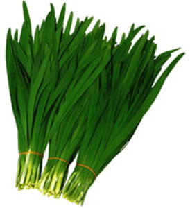 y|Cg5{ 5̂10{z_[O[xg R[gq2L(5000) B j ɂyc   ^l z