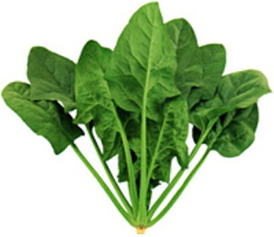 u[h10 MTCY(3) ق @@ zE\E ق񂻂 zyc   ^l zyʏ5{ 5̂̓|Cg10{z