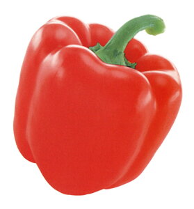 ԂՂ2 100 s[} ҁ[܂ zyc   ^l zyʏ5{ 5̂̓|Cg10{z