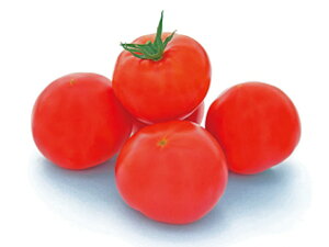 L014 1000 g}g Ƃ܂ ׉ zyc   ^l zyʏ5{ 5̂̓|Cg10{z