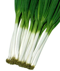 g 2dl K lM ˂yc   ^l zyʏ5{ 5̂̓|Cg10{z