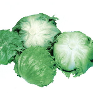 tP(ns[) PVP R[gqL(5000) ^Xyc   ^l zyʏ5{ 5̂̓|Cg10{z