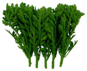 ] 1L te 񂬂 VMNyc   ^l zyʏ5{ 5̂̓|Cg10{z