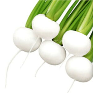 CR雪峰 コート種子L(5000粒) かぶ カブ 蕪 武蔵野交配【武蔵野種苗 種 たね タネ 】【通常5倍 5のつく日はポイント10倍】