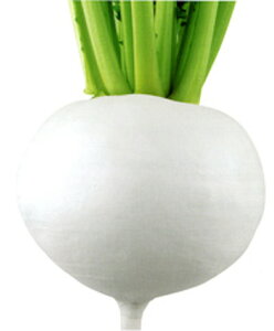 CR吭(Ju) 1dl  Ju  zyc   ^l zyʏ5{ 5̂̓|Cg10{z