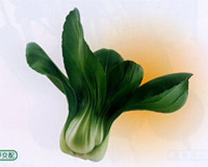 cB(~j`QTC) 20ml [ `Q `QTC 񂰂񂳂 zyc   ^l zyʏ5{ 5̂̓|Cg10{z