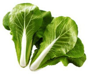 Ă(񌋋) 2dl Ă Ă zyc   ^l zyʏ5{ 5̂̓|Cg10{z