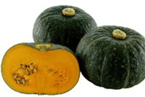 ۂ 200 Z J{` ڂ zyc   ^l zyʏ5{ 5̂̓|Cg10{z